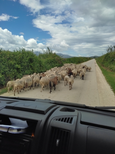 voyage camping car, Albanie
