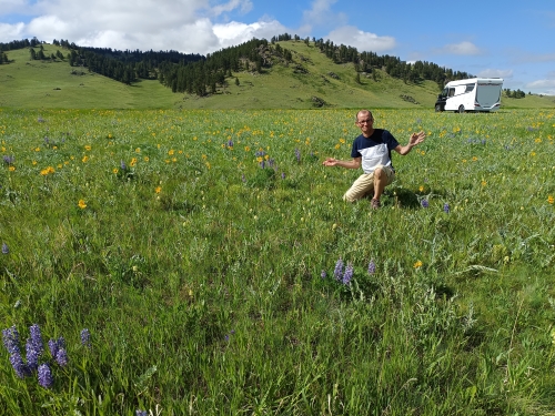 voyage camping car usa