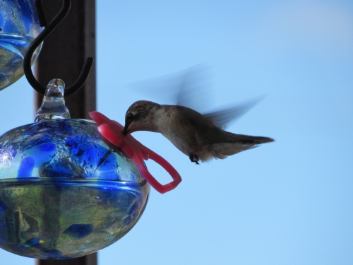 voyage camping-car usa