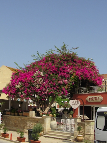 voyage,camping-car,crete