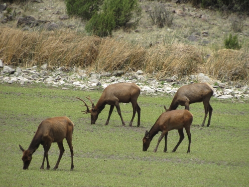 voyage arizona,camping-car