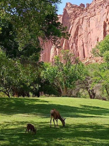 voyage en camping car,usa