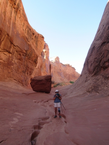 VOYAGE, camping-car,Etats-unis