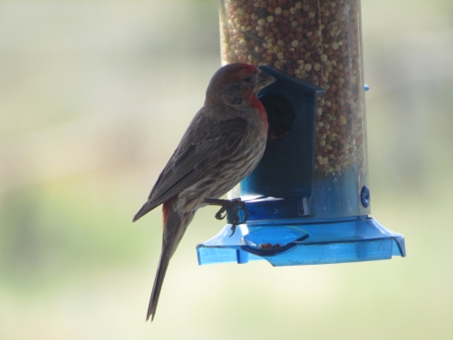 voyage camping-car usa