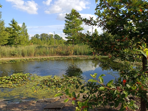 voyager aux etats-unis en camping-car