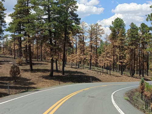 voyage,camping-car etats-unis