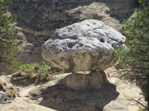 voyage,etats-unis,camping-car