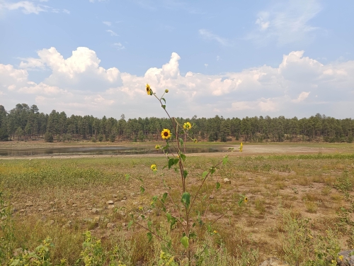 voyage,camping-car etats-unis