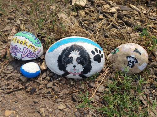 voyage,camping-car etats-unis