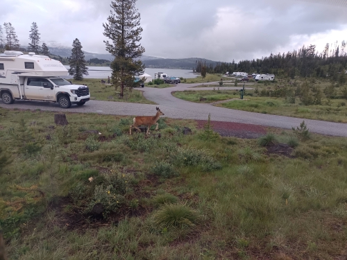 voyage camping-car usa
