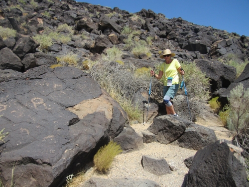 voyage,camping-car,usa