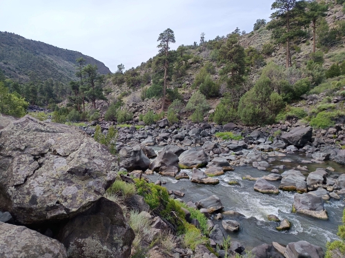 voyage,camping-car aux etats-unis