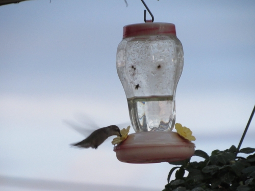 voyage camping-car usa