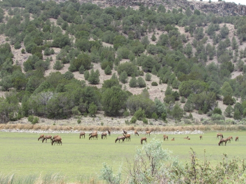 voyage arizona,camping-car