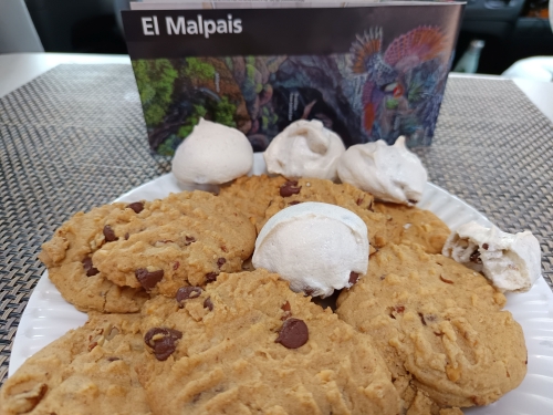 VOYAGE CAMPING CAR USA