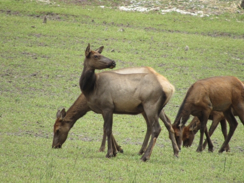 voyage arizona,camping-car