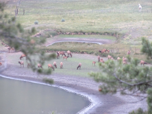 voyage arizona,camping-car