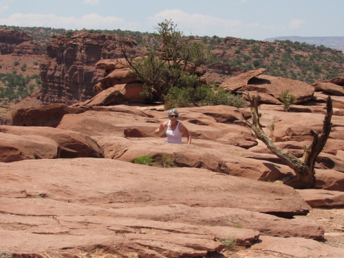 voyage en camping car,usa