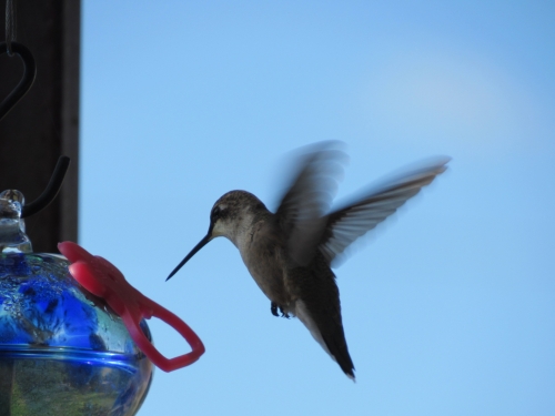 voyage camping-car usa