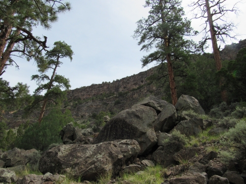 voyage,camping-car aux etats-unis