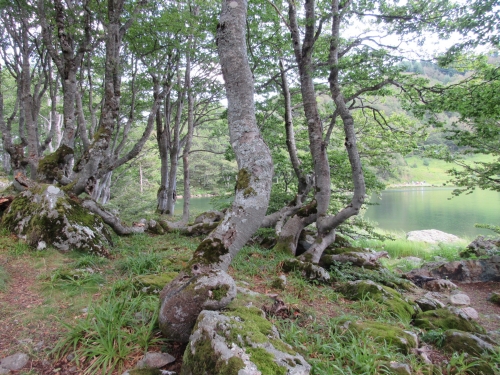 voyage,camping car,montenegro