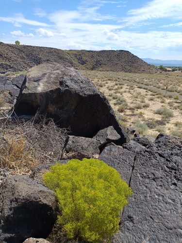 voyage,camping-car,usa