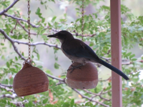 voyage camping-car usa