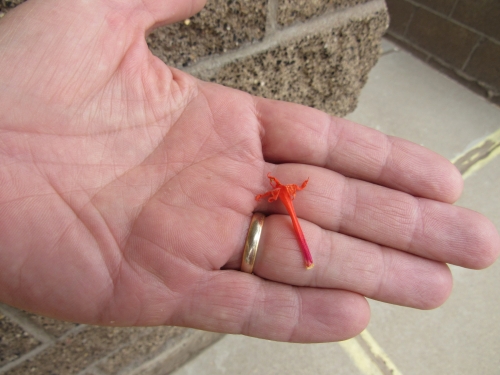 voyage,camping-car etats-unis