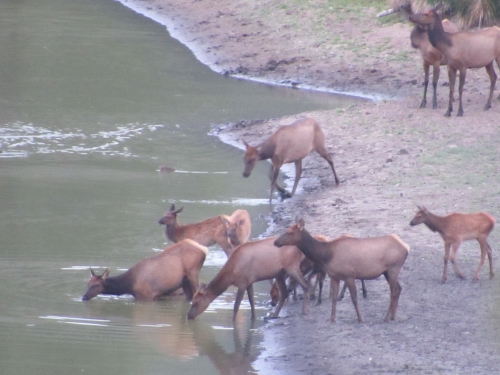 voyage arizona,camping-car