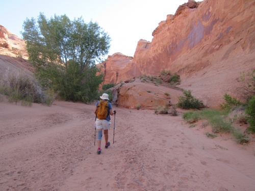 VOYAGE, camping-car,Etats-unis