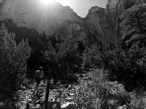 voyage camping car usa