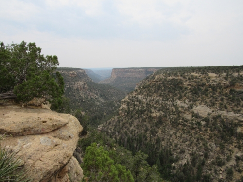 voyage,camping-car,usa
