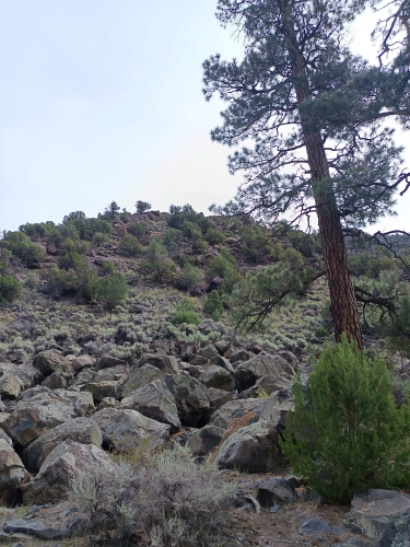 voyage,camping-car aux etats-unis