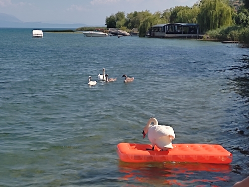 voyage,camping-car macedonie du nord
