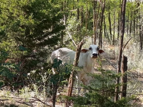 voyager en camping car aux etats unis