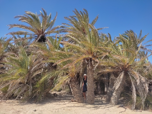 voyage,camping-car,crete